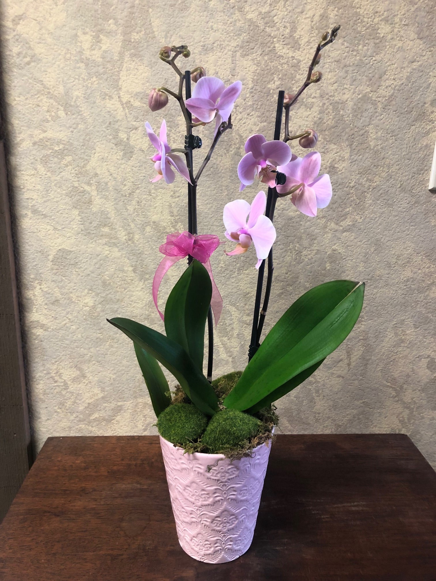 2-Stem Purple Phalaenopsis Orchids in Santa Clarita, CA | Flower Finesse