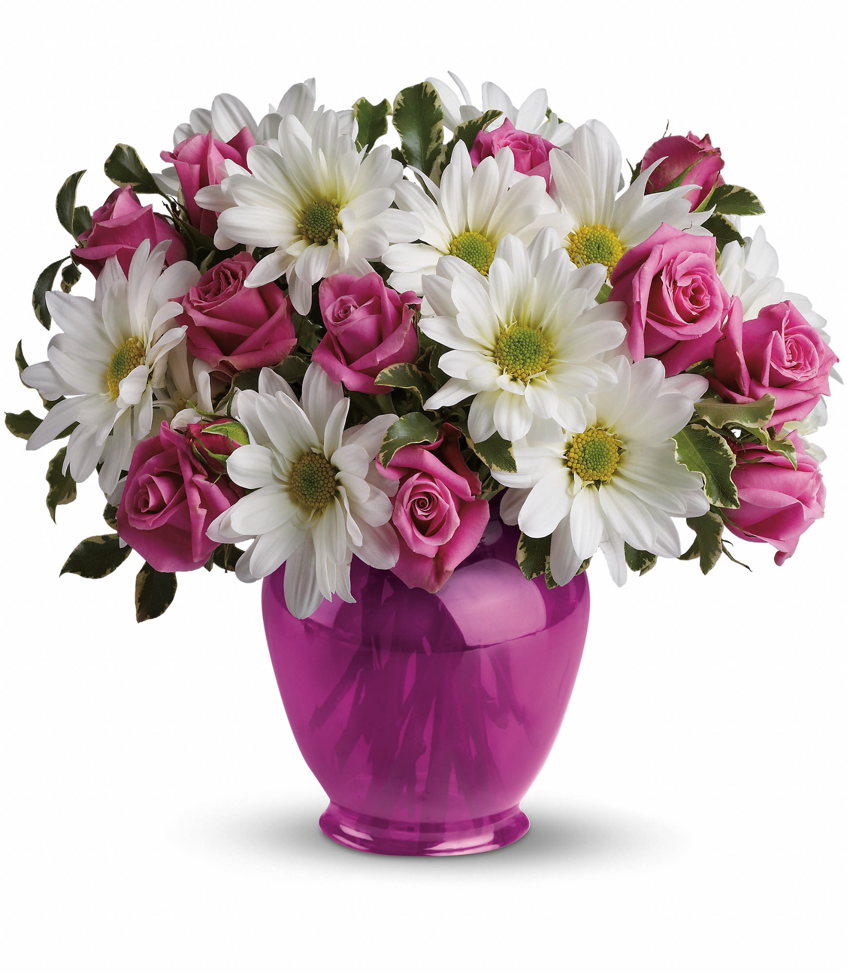 Teleflora's Pink Daisy Delight Teleflora's Pink Daisy Delight - Do you know someone who is feeling under the weather? Chase away the clouds and bring on the sunshine with white daisies and pink roses in a classic fuchsia ginger jar. They'll love the gift and you'lll love the sunny price.
