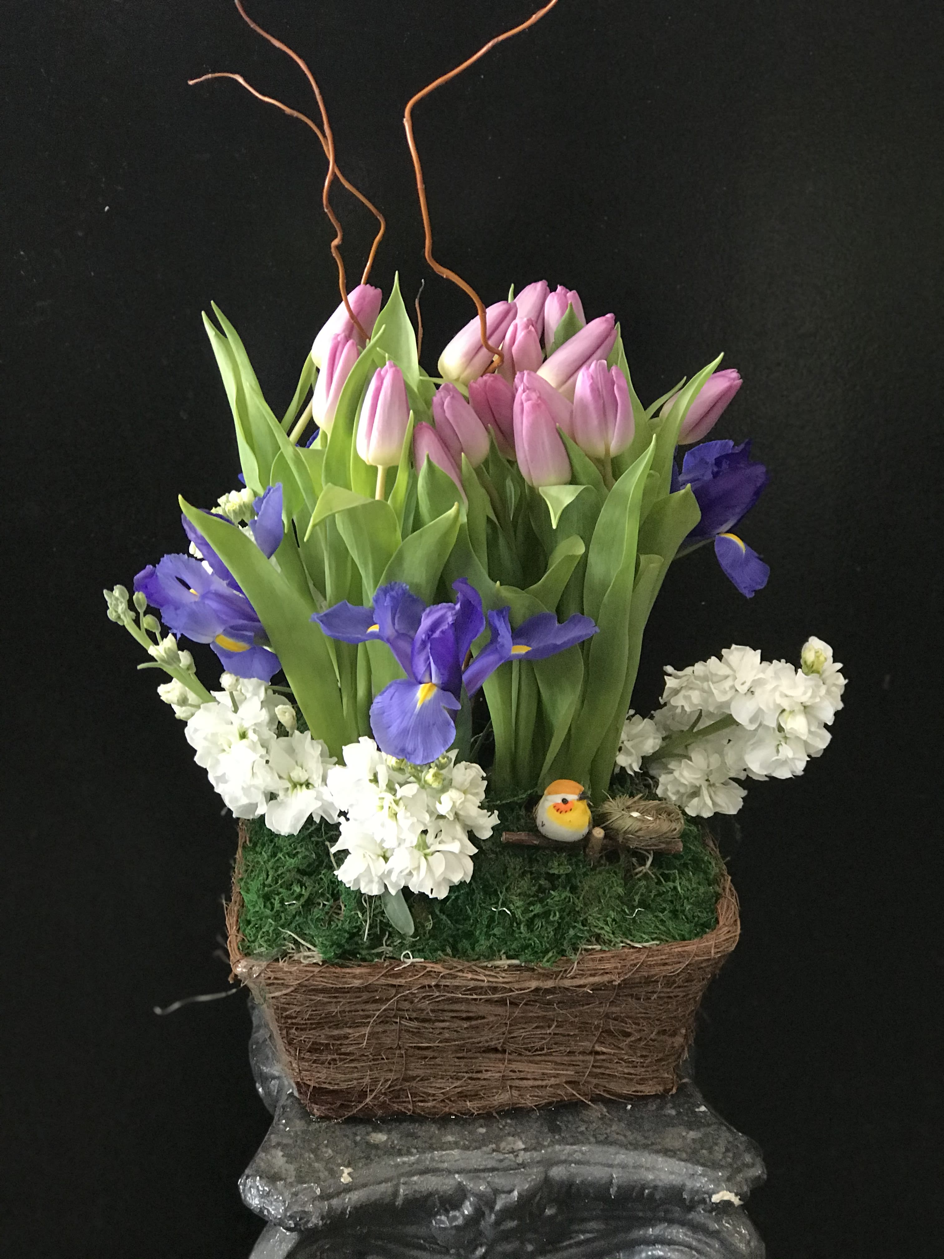 Haven Haven - Tulips, Iris, Stock amongst a basket