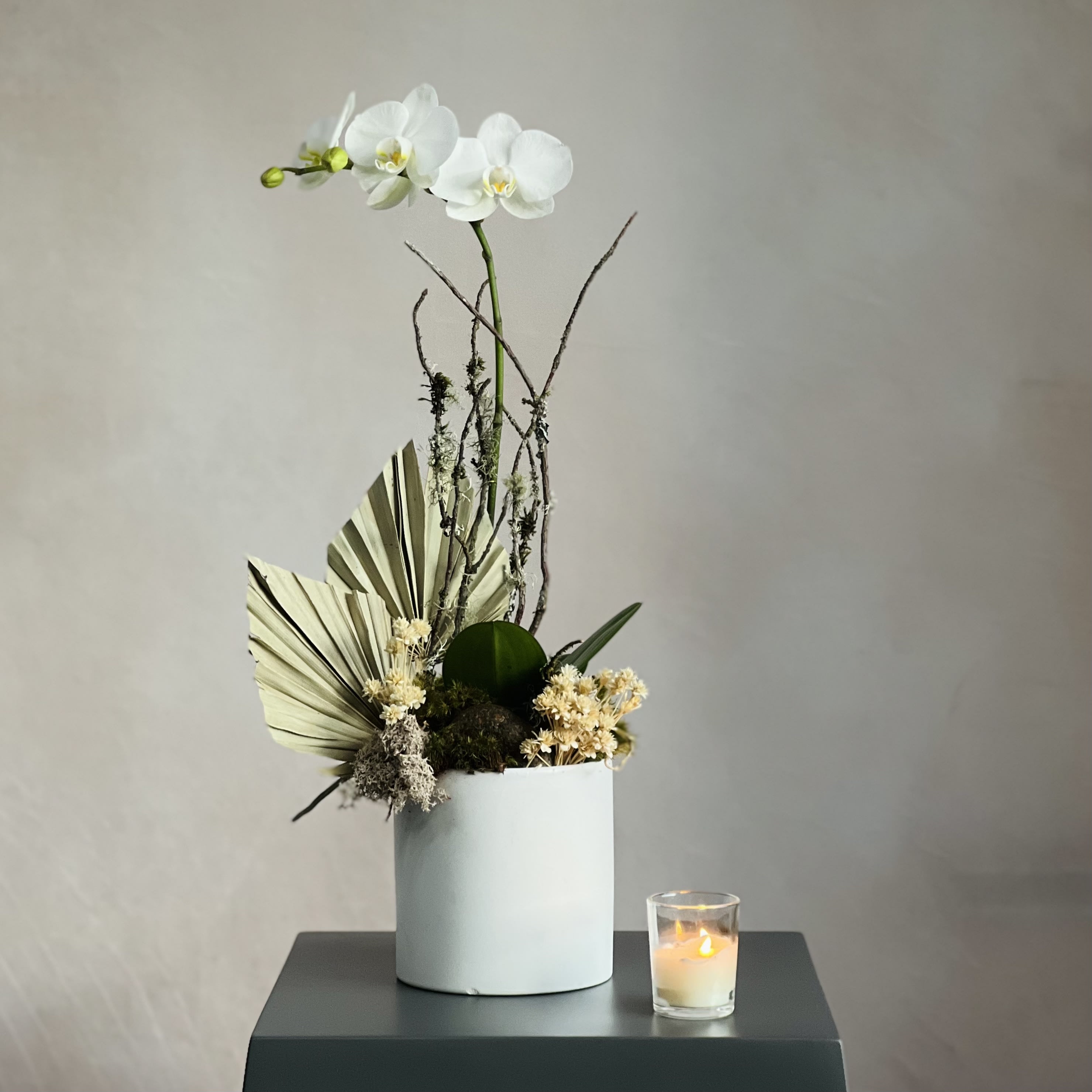 Antique Orchids by Sherman Oaks Florist