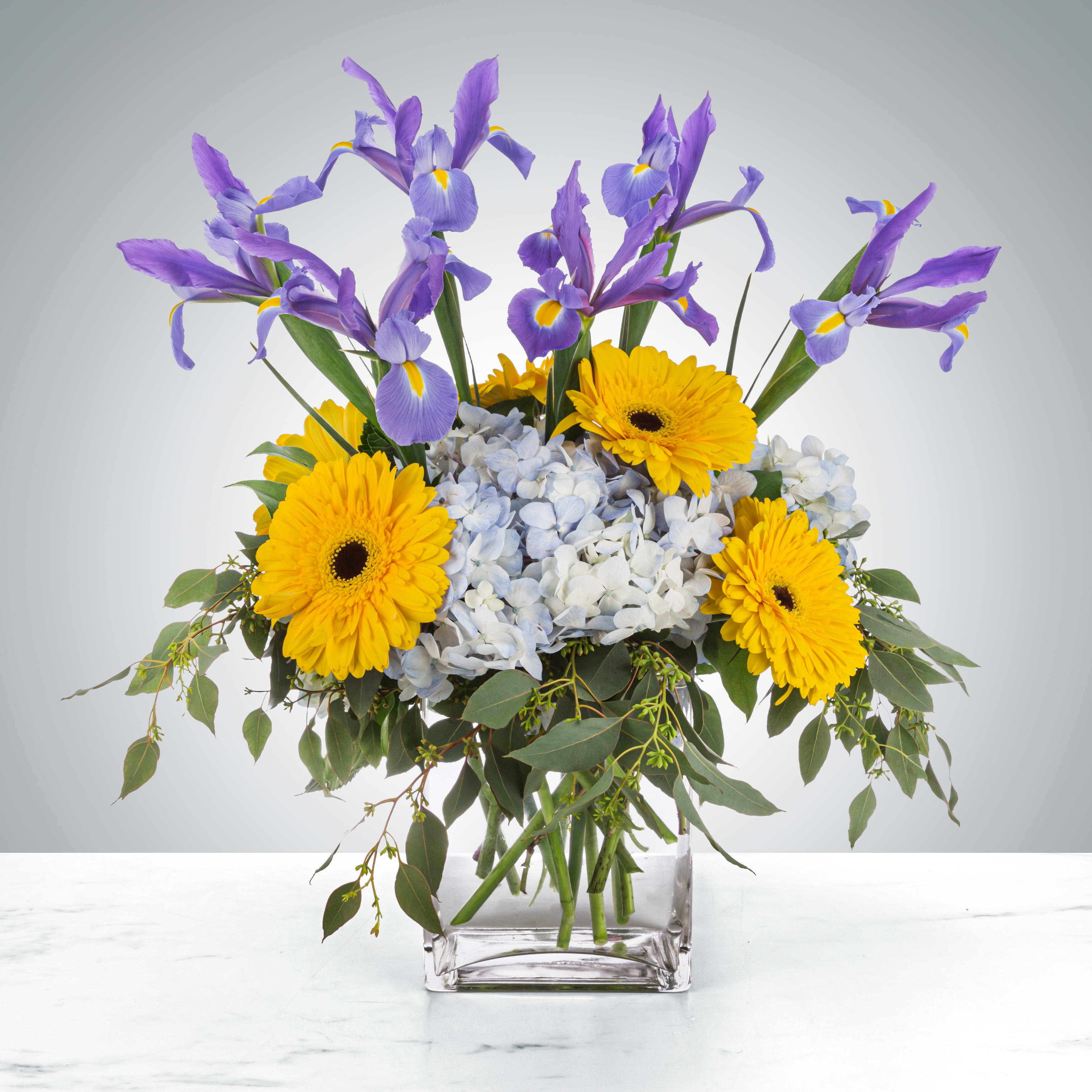 Fresh Rain by BloomNation™ Fresh Rain by BloomNation™ - Send something beautiful to wash away everything bad! Friend going through a breakup? Cheer them up with flowers. Forgot a birthday? Wash away the lapse. Sibling not feeling well? Send them Fresh Rain by BloomNation™. Approximate Dimensions: 14""D x 14""H"