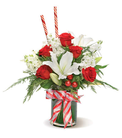 Candy Cane Lane - Send this truly original, contemporary bouquet of gorgeous red roses and elegant lilies, hand-arranged in a glass cylinder vase, with candy-striped bow and accents.