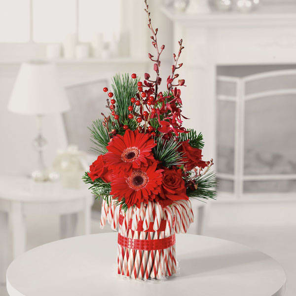 Candy Cane Surprize - Red Gerberas and Roses Wrapped In Candy Canes ! The Sweetest Around!