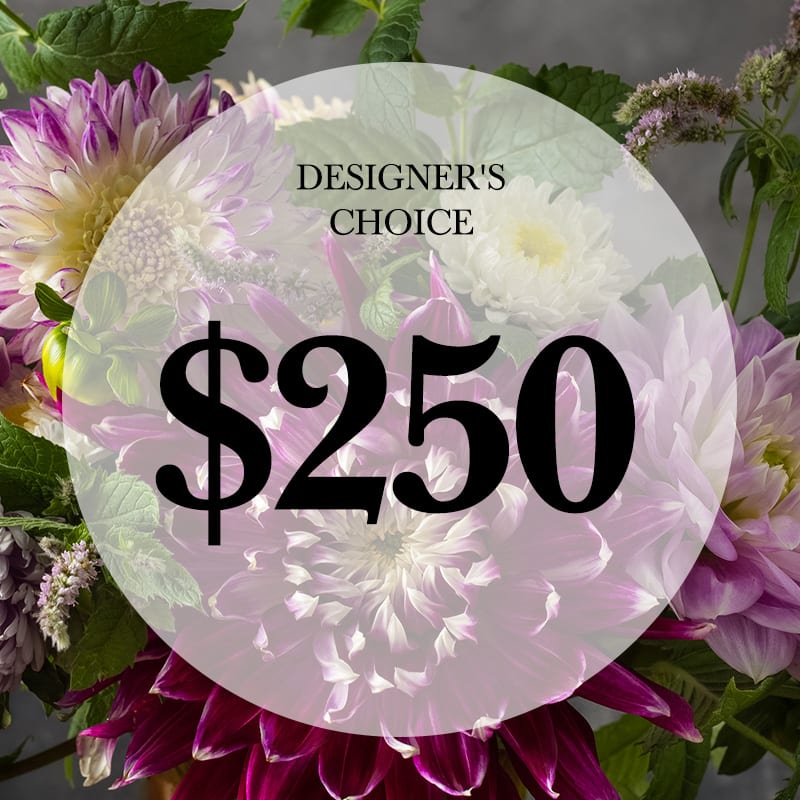 Non- Christmas Designer's Choice $250 - Non- Christmas Designer's Choice $250
