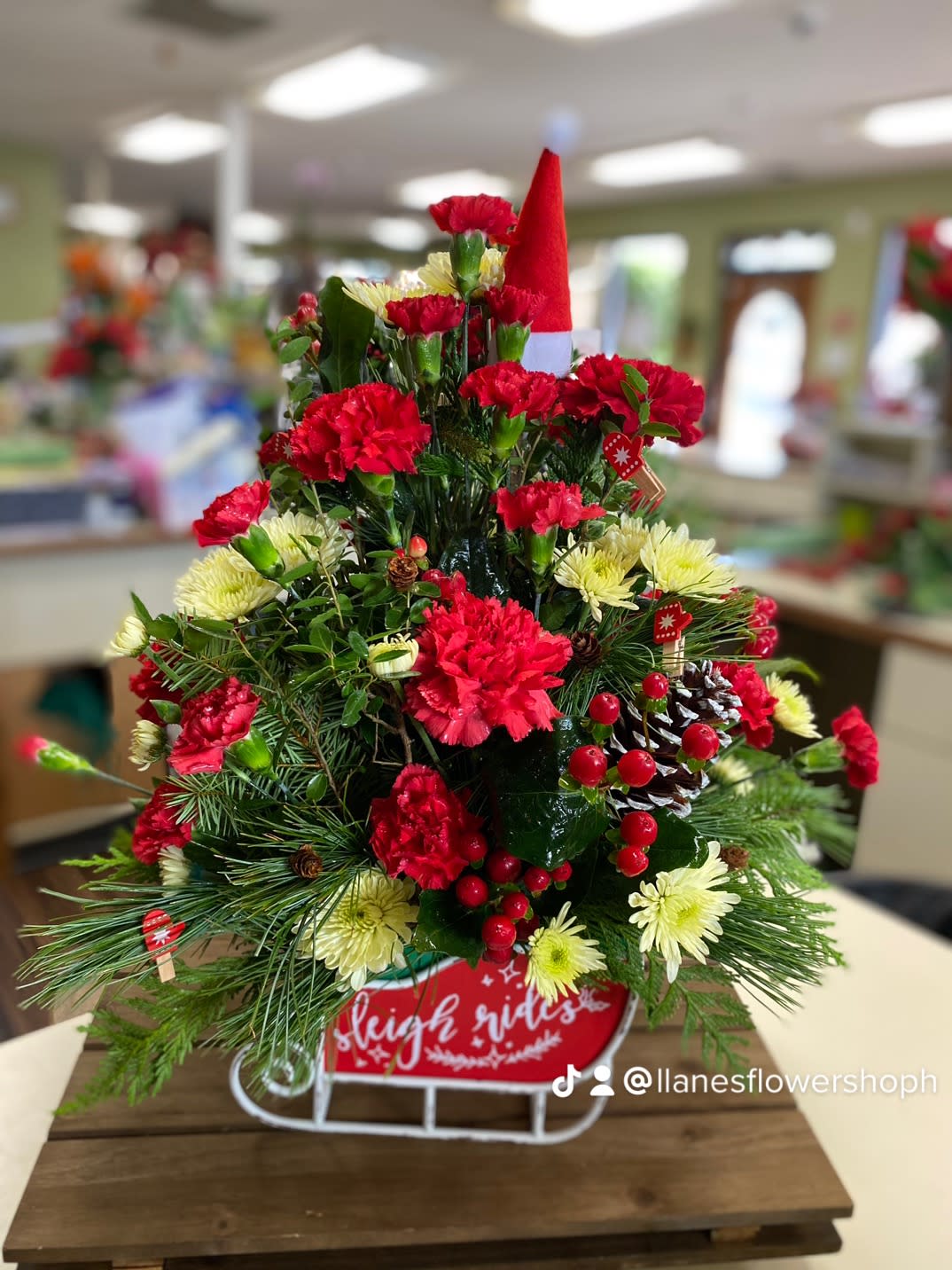 Teresita Flowers In English Best Flower Site