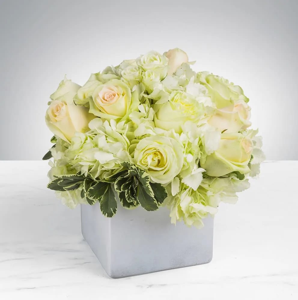 Simplicity by BloomNation™ Simplicity by BloomNation™ - Simplicity by BloomNation™ is the perfect gift to wish a happy birthday, show gratitude, or wish a speedy recovery. Arrangement Details: Includes blush pink roses, white roses, blush spray roses, white hydrangea. APPROXIMATE DIMENSIONS: 10" H X 11" W X 11"L
