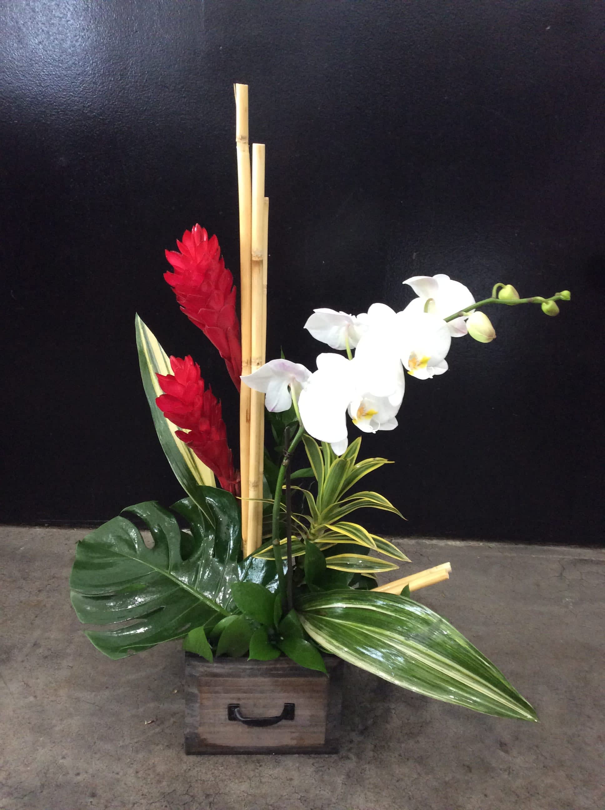 Haleiwa  - white orchid plant in a box with fresh cut Ginger &amp; bamboo accents