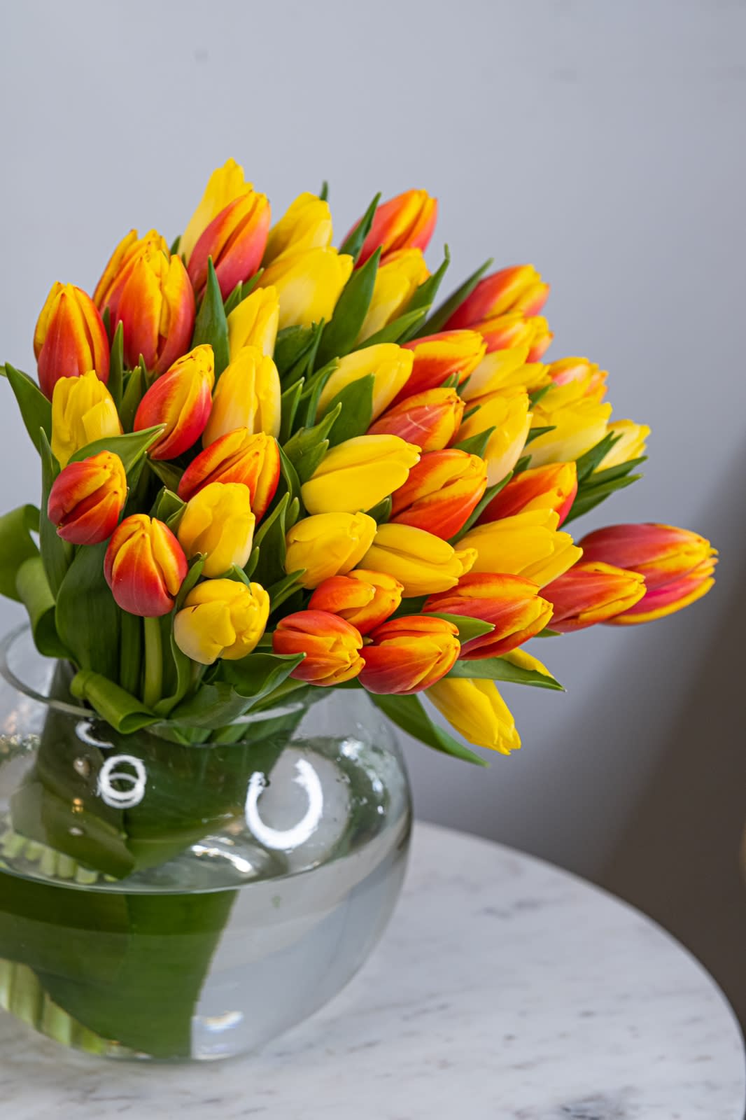 My favorite tulips - If you want to express your most tender feelings, then, by the way, a bouquet of  tulips is perfect, because buds, opening, say: &quot;&quot;Look into my heart.&quot;&quot; Becoming the personification of her bright hopes and pure heart. Such a bouquet will be the best decoration for any holiday.