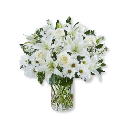 Sincerest Sorrow: All White - Express your sincere condolences with our elegant all-white arrangement of roses, lilies, stock, daisy poms and monte casino. A peaceful tribute that offers treasured memories of loved ones.