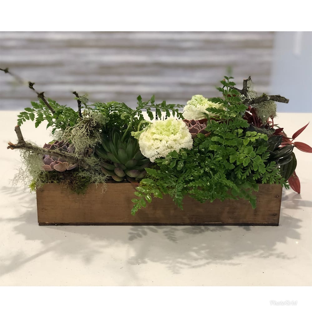 Succulent Secret Garden - This wooden garden box contains succulent treasures. Coupled with blooms and filler flowers, this arrangement is a slice of a secret garden. 