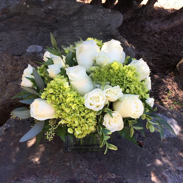 So Serene  So Serene  - Great combination of whites are green designed in a modern cube 3568