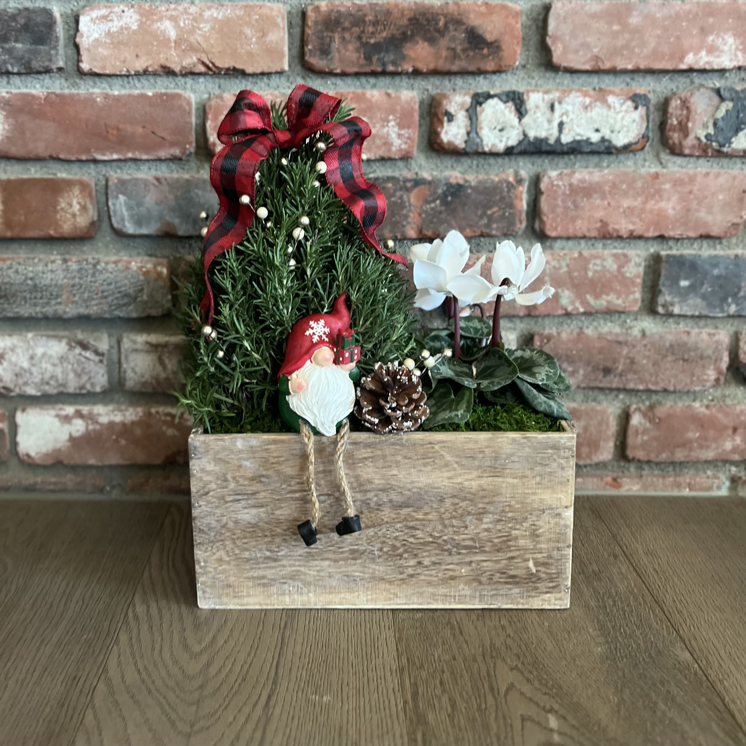PLANTS FOR CHRISTMAS  - This is a live plant arrangement that is designed on a wood box. 