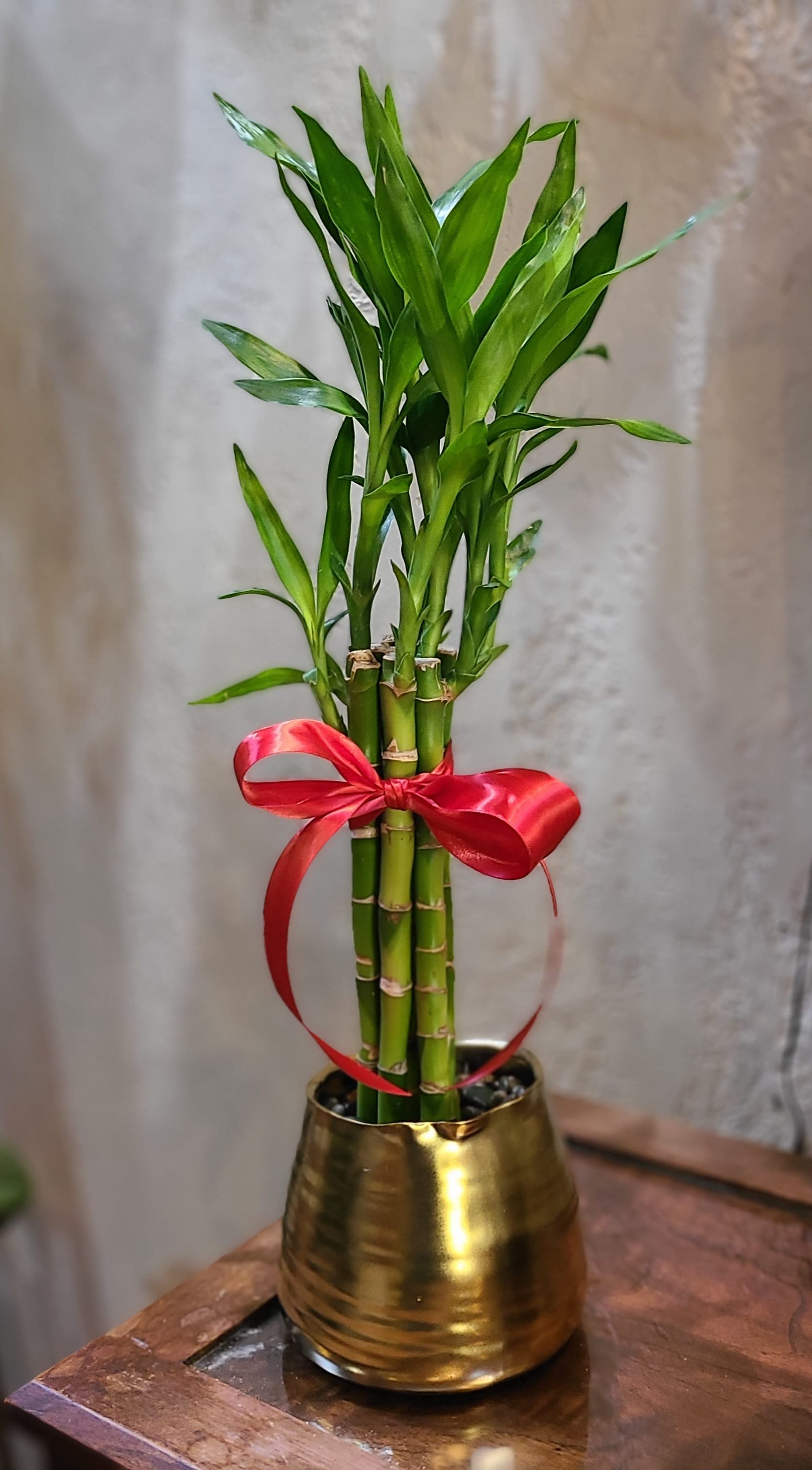 Lucky Bamboo - This bamboo arrangement is sure to bring luck and beauty into the home or office.