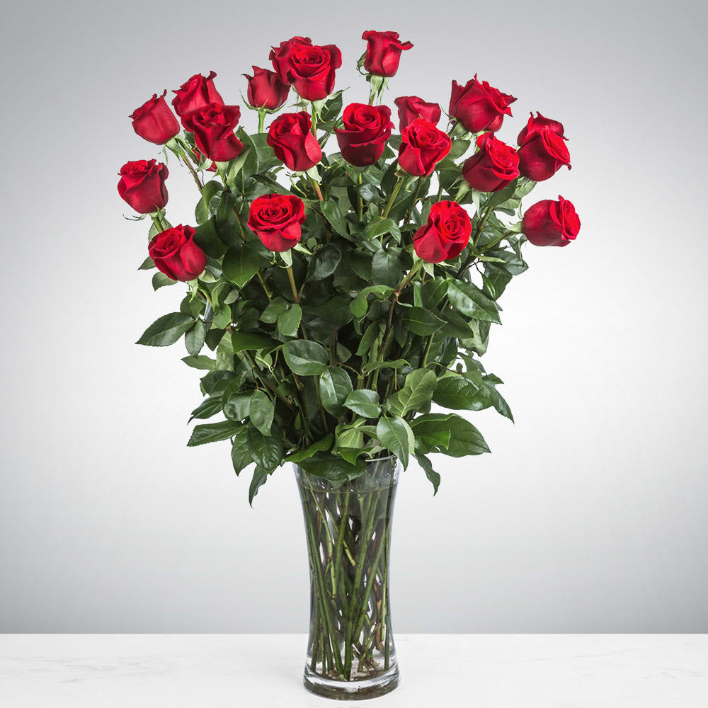 Two Dozen Long Stemmed Roses by BloomNation™ - These two dozen red roses provides the classic romantic gift. It's perfect for Valentine's Day or an Anniversary. APPROXIMATE DIMENSIONS: 30&quot; H X 22&quot; W