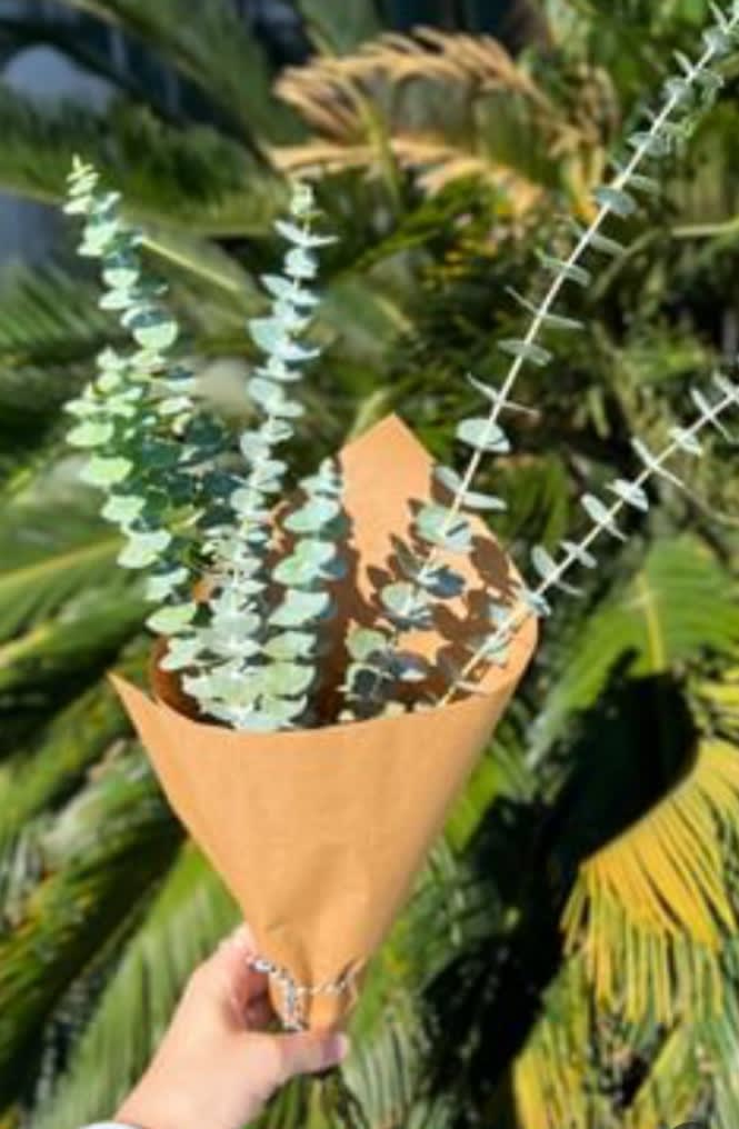 Eucalyptus Shower Bundle in Corpus Christi, TX Rose Soiree