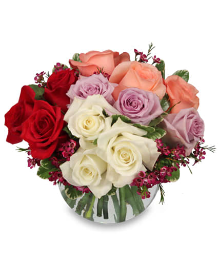 Rendezvous Roses - Nothing says &quot;I love you!&quot; more than a vase filled to the brim with roses!