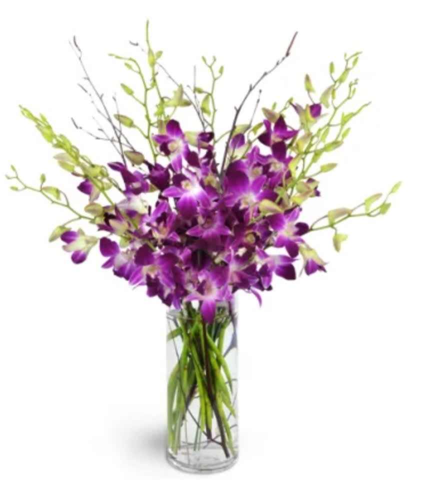 Lovely Orchids in Yucaipa, CA Jean's Flower Basket