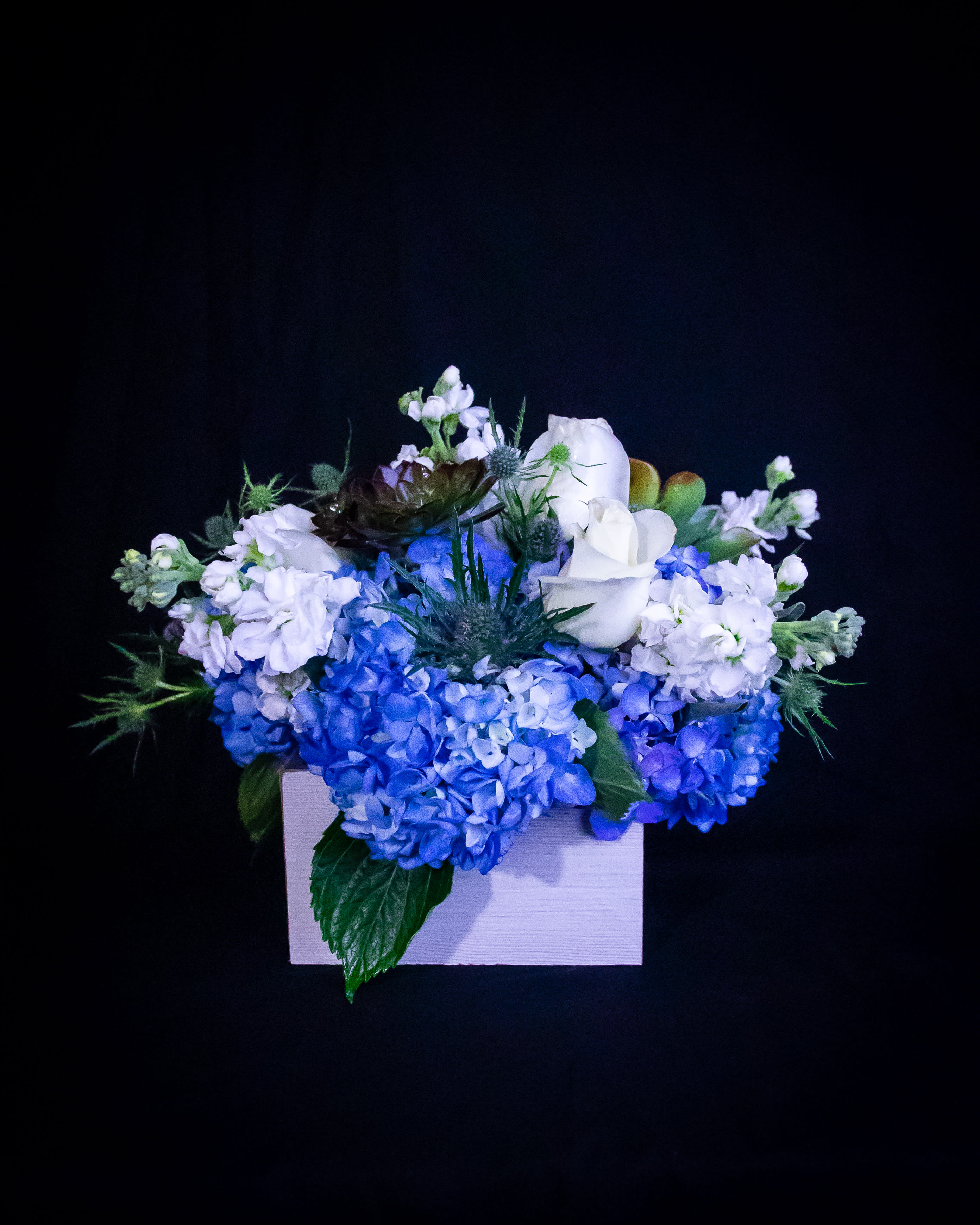 Nils - White Roses, Blue hydrangeas, white stocks, blue thistle, and succulents 
