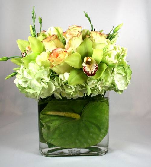 Envy -  green hydrangeas, orchids, lisianthus, roses and anthurium