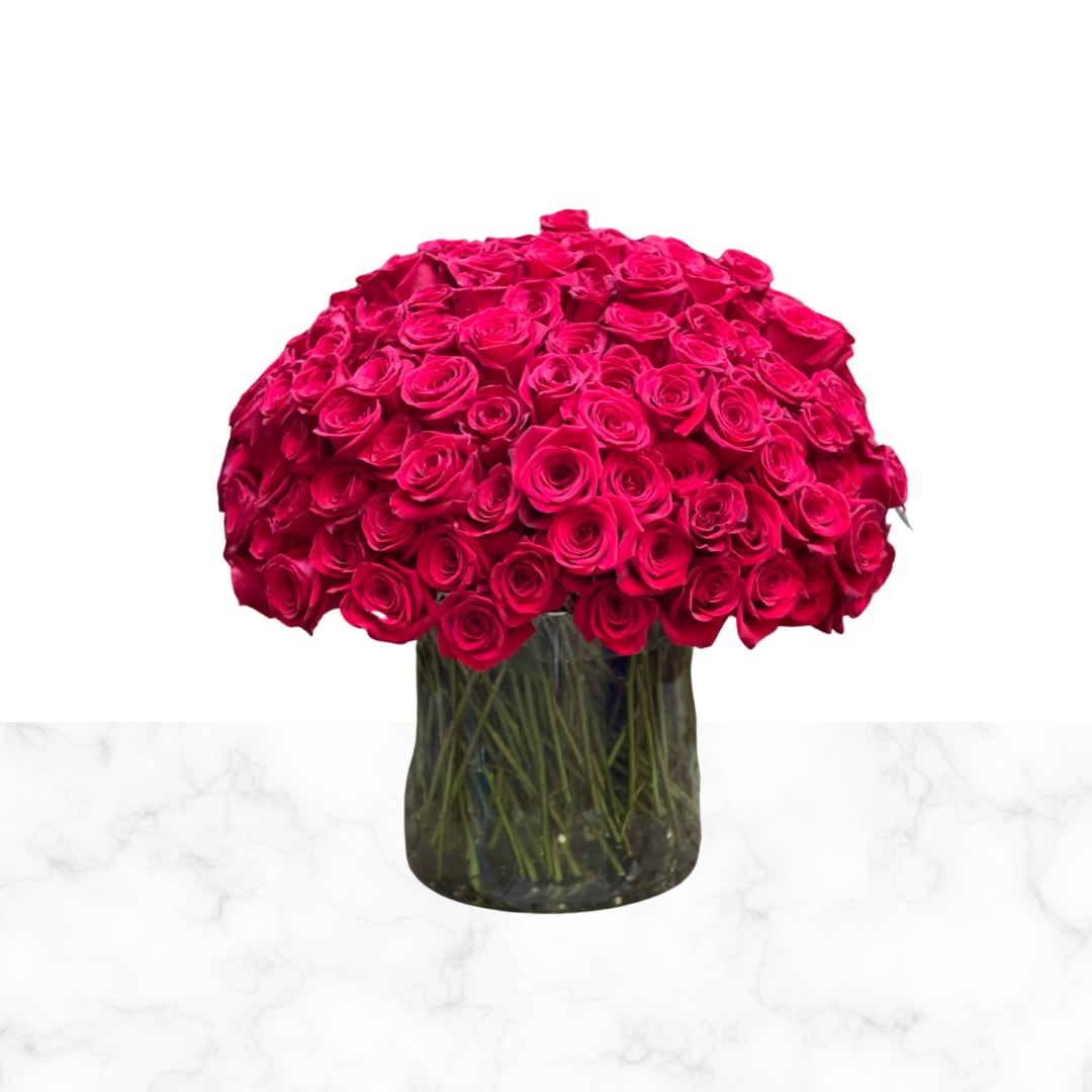 The bay special occasion online