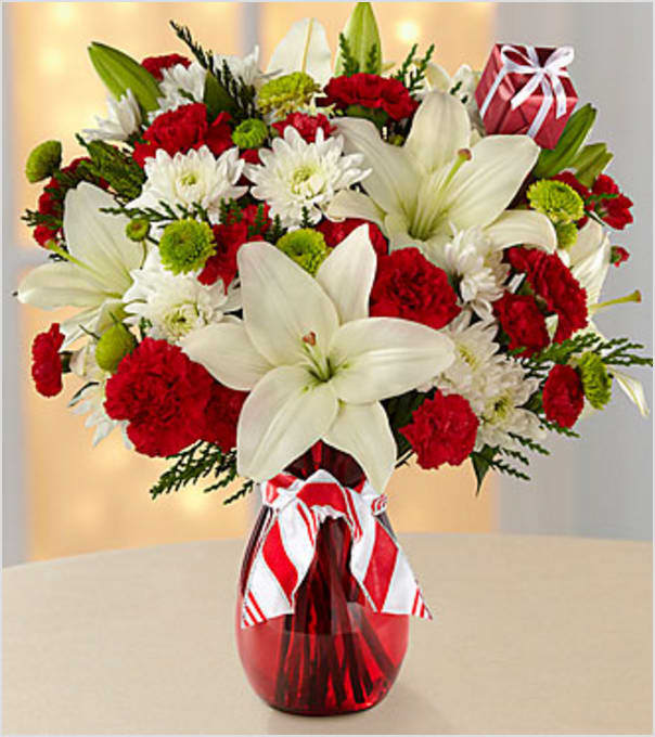 Open Your Heart Holiday Bouquet - Picked fresh from the farm to bring Christmas beauty straight to their door, the Open Your Heart Holiday Bouquet blooms with a natural festive grace to help you celebrate this fun and exciting season. Hand gathered at select floral farms and bringing together eye-catching whites with pops or rich reds accented with a mix of winter greens, this gorgeous bouquet has been picked fresh for you to create an exceptional way to send your warmest season's greetings to all of the loved ones you hold near and dear to your heart. Bouquet includes: white Asiatic Lilies, red carnations, red mini carnations, white chrysanthemums, green button poms, and lush holiday greens. Presented with a classic red glass vase and festive ribbon. BETTER bouquet is approximately 19&quot; H X 16&quot; W.  Your purchase includes a complimentary personalized gift message.
