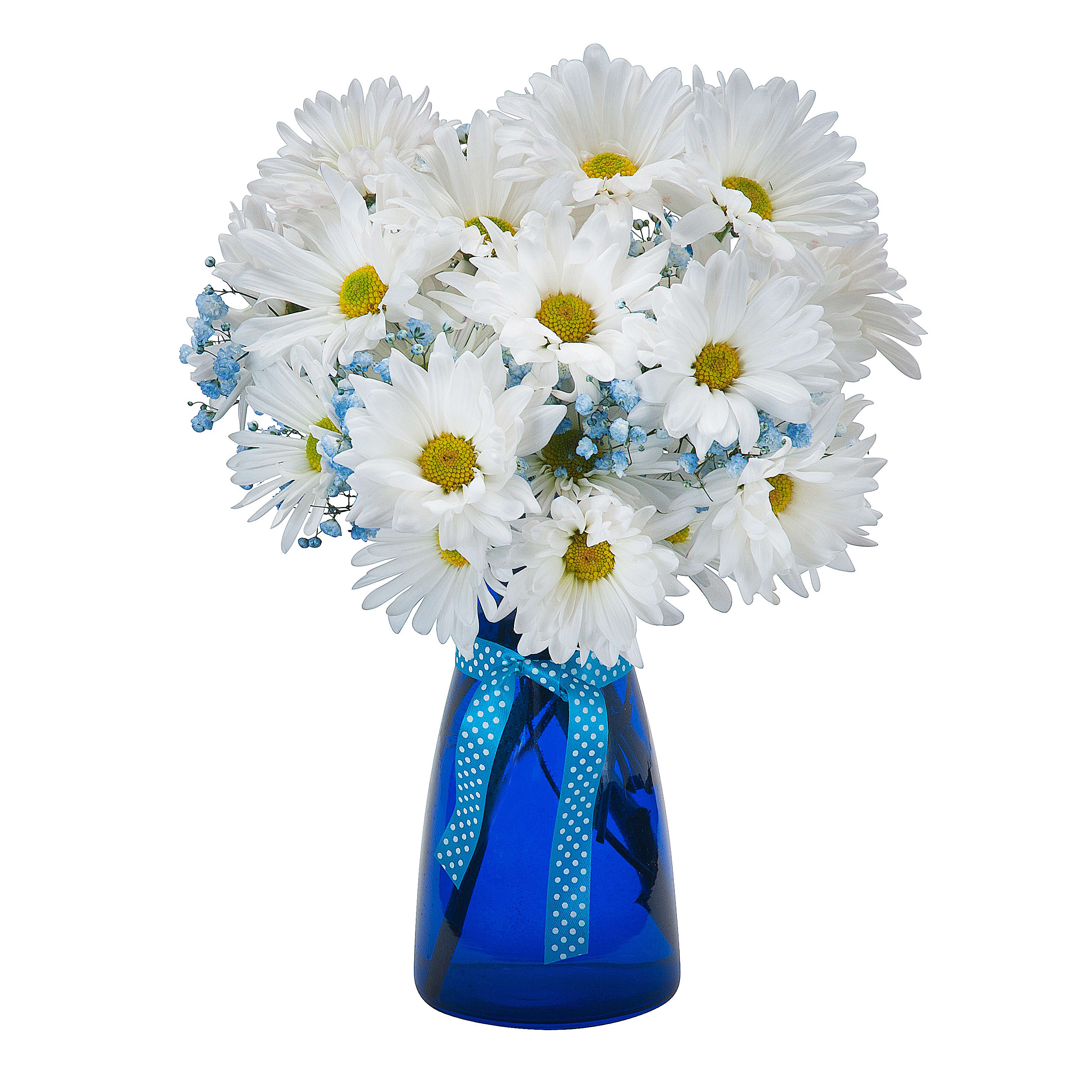 Daisy May TMF571 in Saint Paul, MN Hermes Floral & Chenoweth Gardens