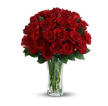 Two-Dozen Red Roses - Two Dozen Red Roses for Valentine's Day.