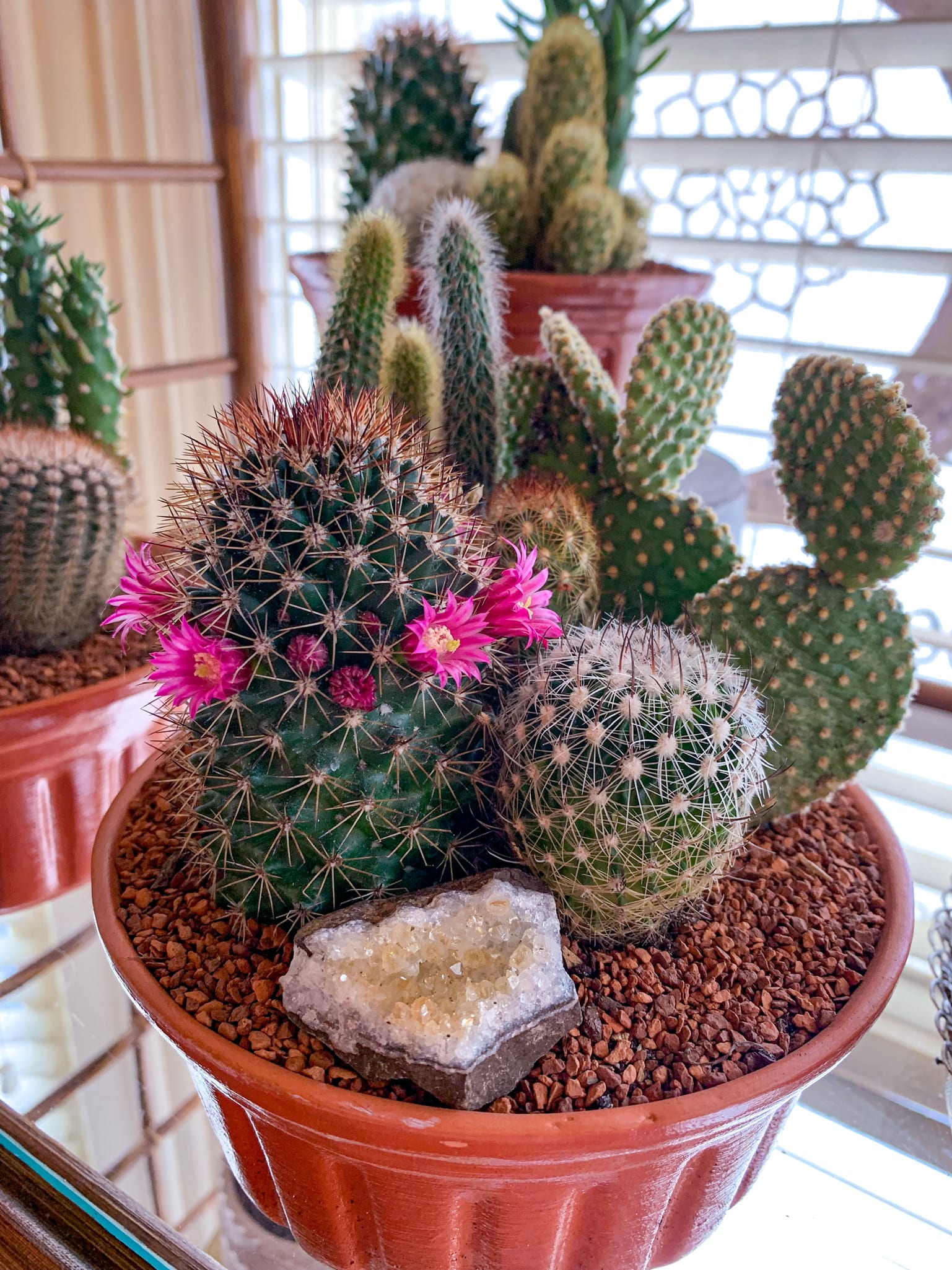 Large Cactus Arrangement Gemstone in | Cactus