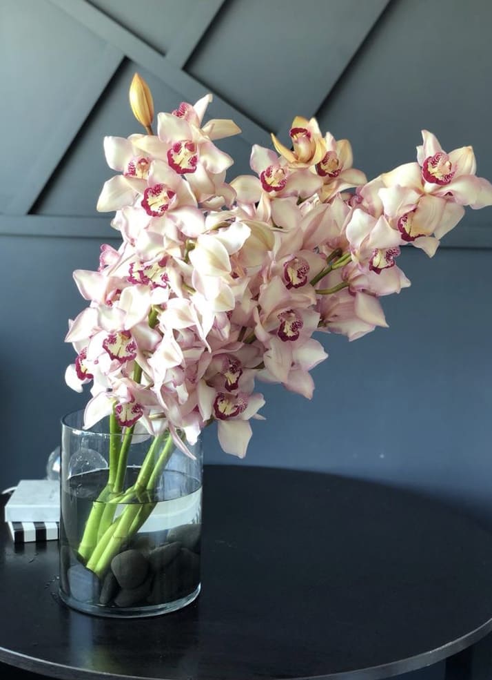 Modern Cymbidium Arrangement in a vase  - Modern Cymbidium Arrangement in a vase  5 large stems with 8-10 blooms of cymbidium arranged into clear vase with black rock decor