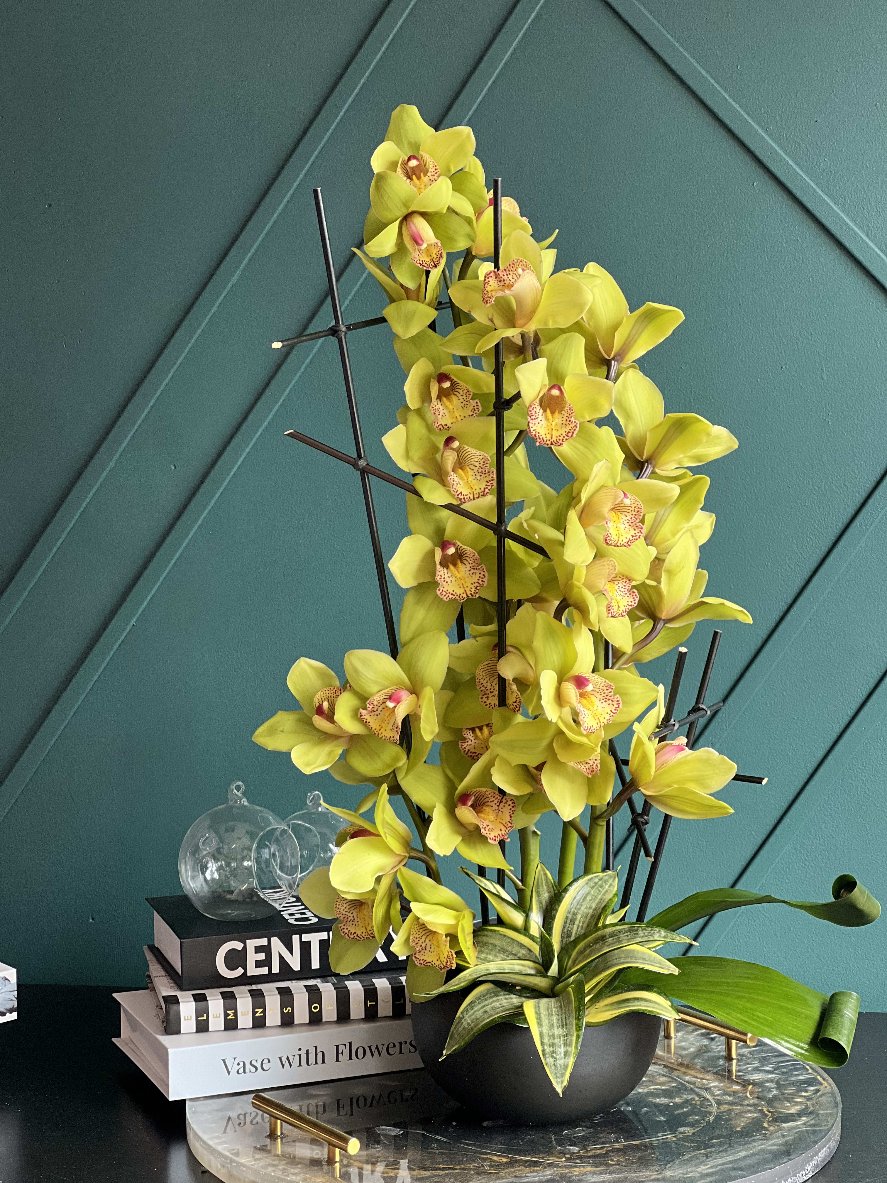 Orchids sensation  - Modern design with 4 large stems of cymbidium orchids, succulent plant and decor 