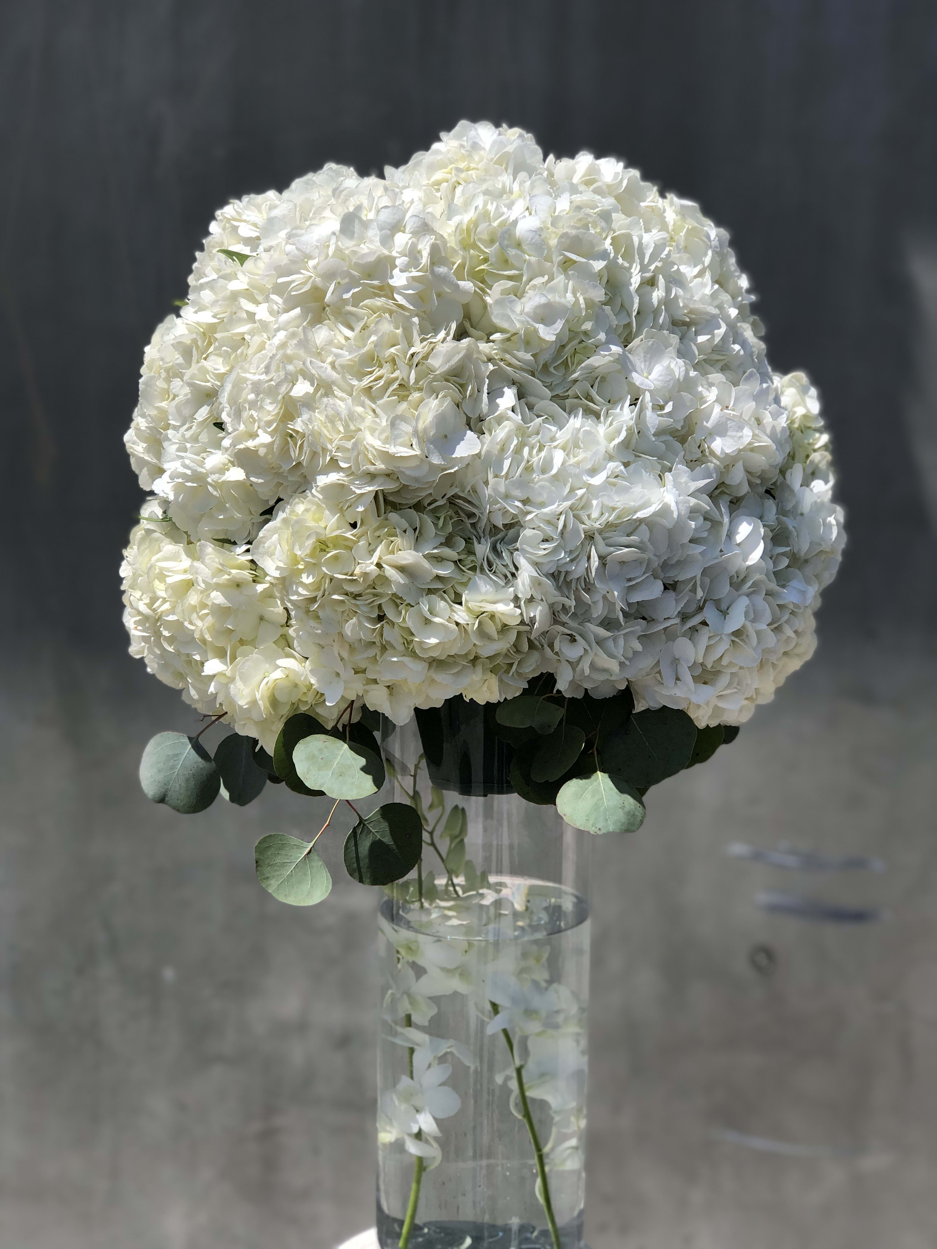 Charming Cloud Charming Cloud - Hydrangeas! AND more Hydrangeas! Arranged in tall glass vase.