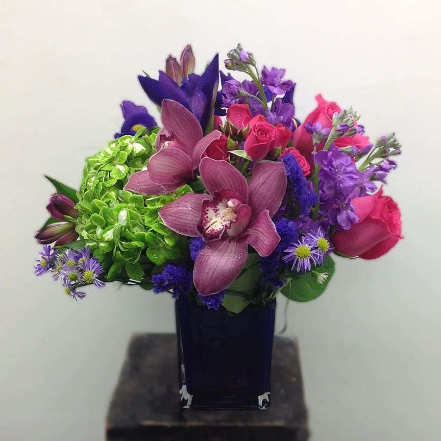 Full of Jewels - Our designer presents you with jewel's tone flowers exquisitely arranged in a colored glass cube. The composition is a mix of cymbidium orchids, green hydrangeas, irises, hot pink roses, lavender stock, and alstroemerias. Purple statice, lavender montecasino aster, and greenery complete the look. 