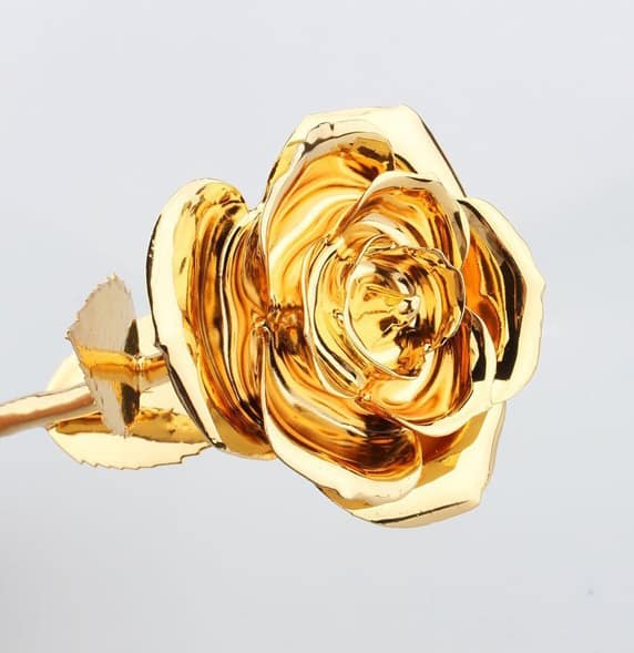 Everlasting 24KT Gold Plated Single Real Rose Preserved in Brooklyn, NY |  Flowers By Emil