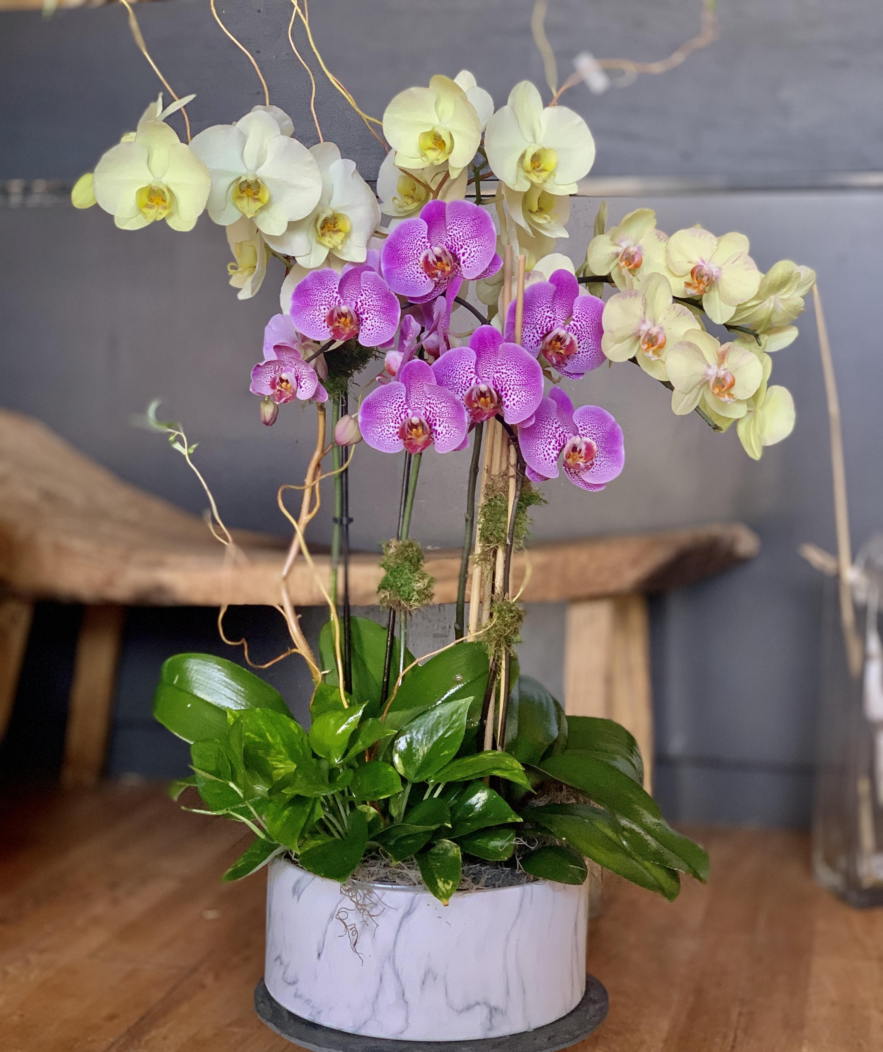ELEGANT MODERN ORCHIDS ARRANGEMENT -  PREMIUM SELECTED COLOR ORCHIDS - DESIGN IN AN MODERN MABLE STYLE CONTAINER.