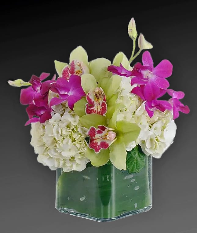 Orchid Dream  - If your idea of the perfect arrangement is something both luxurious and lovely, consider a bouquet of fresh exotic orchids and hydrangea arranged in a ti leaf lined glass cube vase. It's a bit of the tropics, hand-delivered with a smile! In 2 sizes!
