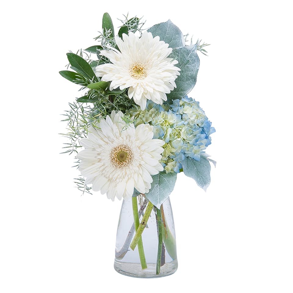 Blue Mist - TMF-673 - Soft blue and white blooms arranged in a clear vase for a simple misty look. Approximately 5&quot;W X 11H