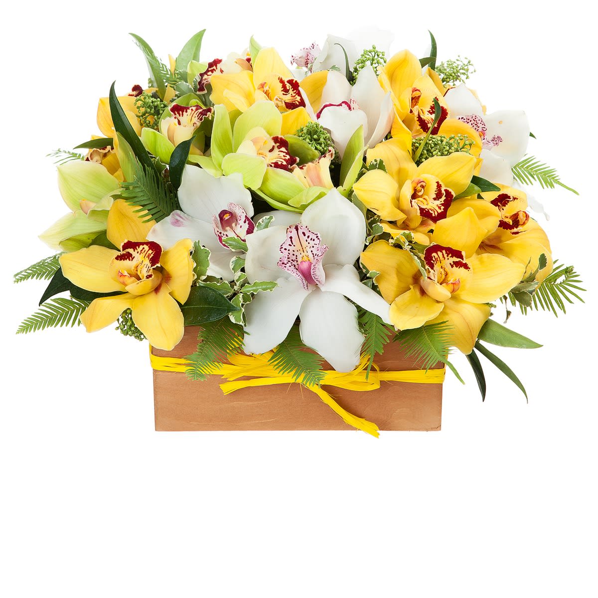 Cymbidium Orchids  Floral Arrangement - Send your recipient a high end bouquet of vibrant jade green cymbidium orchids, known for their longevity and exquisite beauty. In this luxury flower arrangement stunning orchids are hand-arranged with assorted lush tropical greens to create an incredible floral expression of your most heartfelt wishes. 