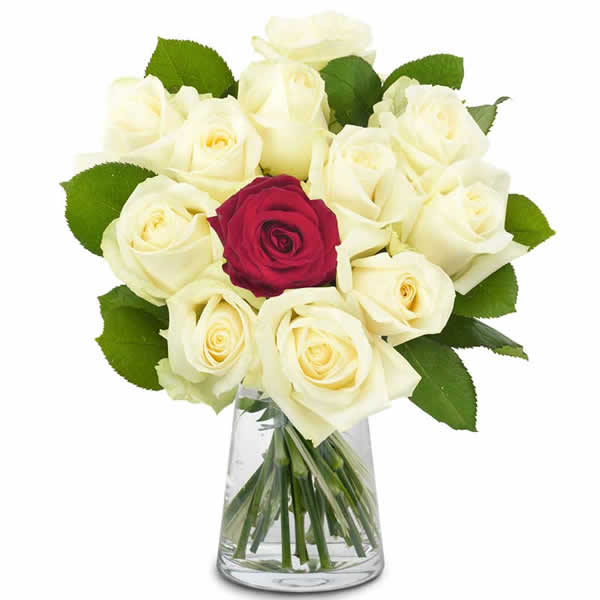 You are Unique Bouquet You are Unique Bouquet - How best to show your sweetheart that she or he is unique? With this unique bouquet of roses in white with a single magnificent red rose in the center! The perfect romantic flower message!