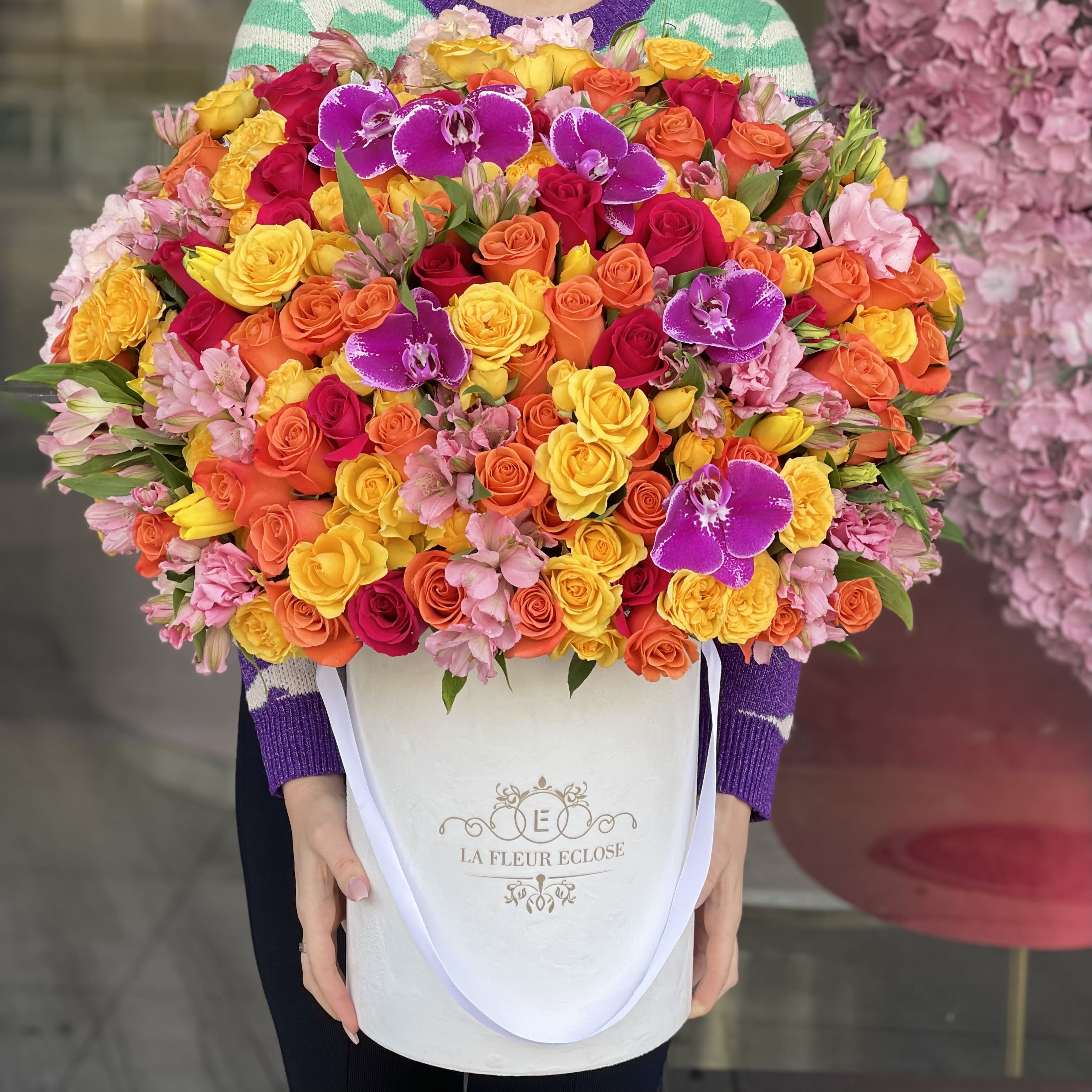 Sun Shine in Encino, CA La Fleur Eclose