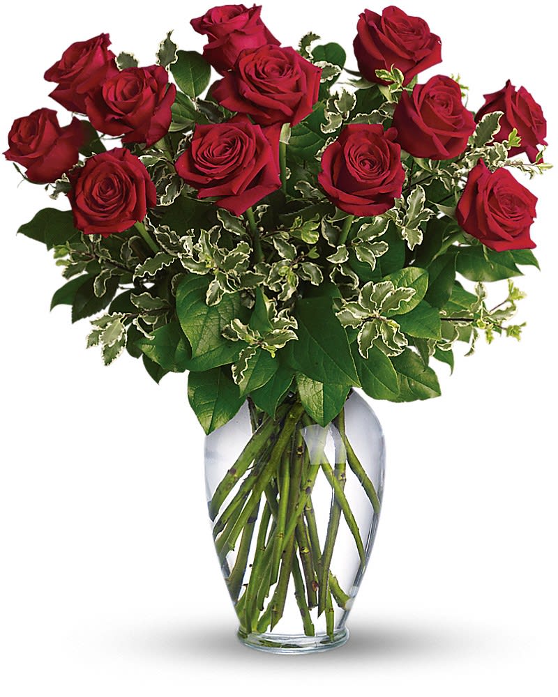 Always on My Mind - Long Stemmed Red Roses - A dozen gorgeous red roses are the perfect romantic gift to send to the one who's always on your mind and in your heart. Say &quot;I love you&quot; by sending this lovely arrangement of twelve radiant red roses and fresh greens delivered in a beautiful spring garden vase. Love always.