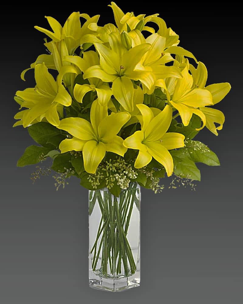 Lily Sunshine Lily Sunshine - When it comes to spring flowers, the lily reigns supreme. It's easy to see why in this gorgeous bouquet of bright yellow blooms. A fabulous bouquet of yellow asiatic lilies, salal and seeded eucalyptus are delivered in a divine bunch vase. Orientation: All-Around