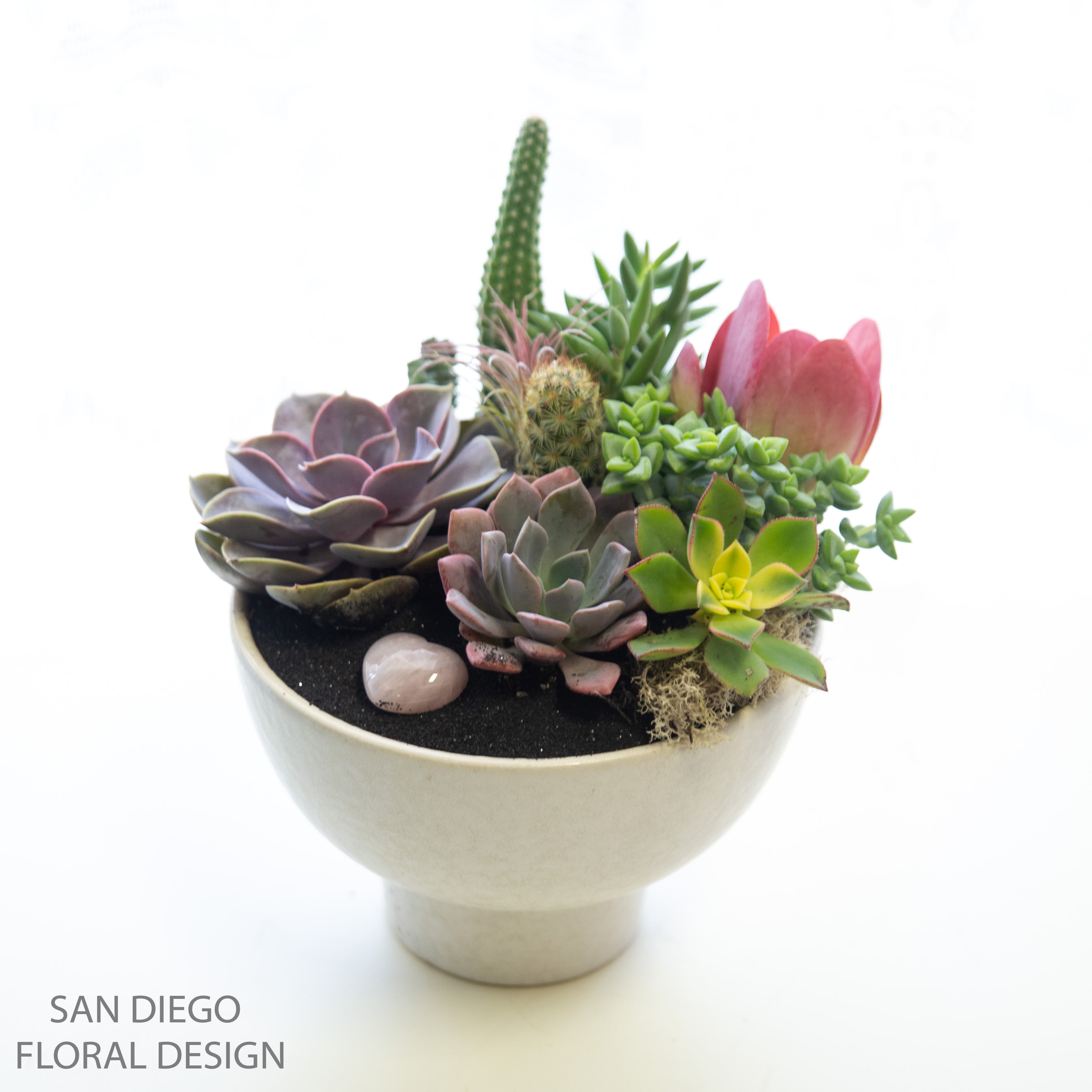 Love is Succulent  - Gorgeous locally sourced succulents and cacti arranged in a pedestal style ceramic container accented by black sand and a Rose quartz heart crystal. 