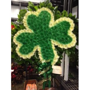 SHAMROCK - SHAMROCK Orchids &amp;  Branch &amp; Flowers in Waterbury  ct for this  costume  work  nite  1 day  notice   Thank you 