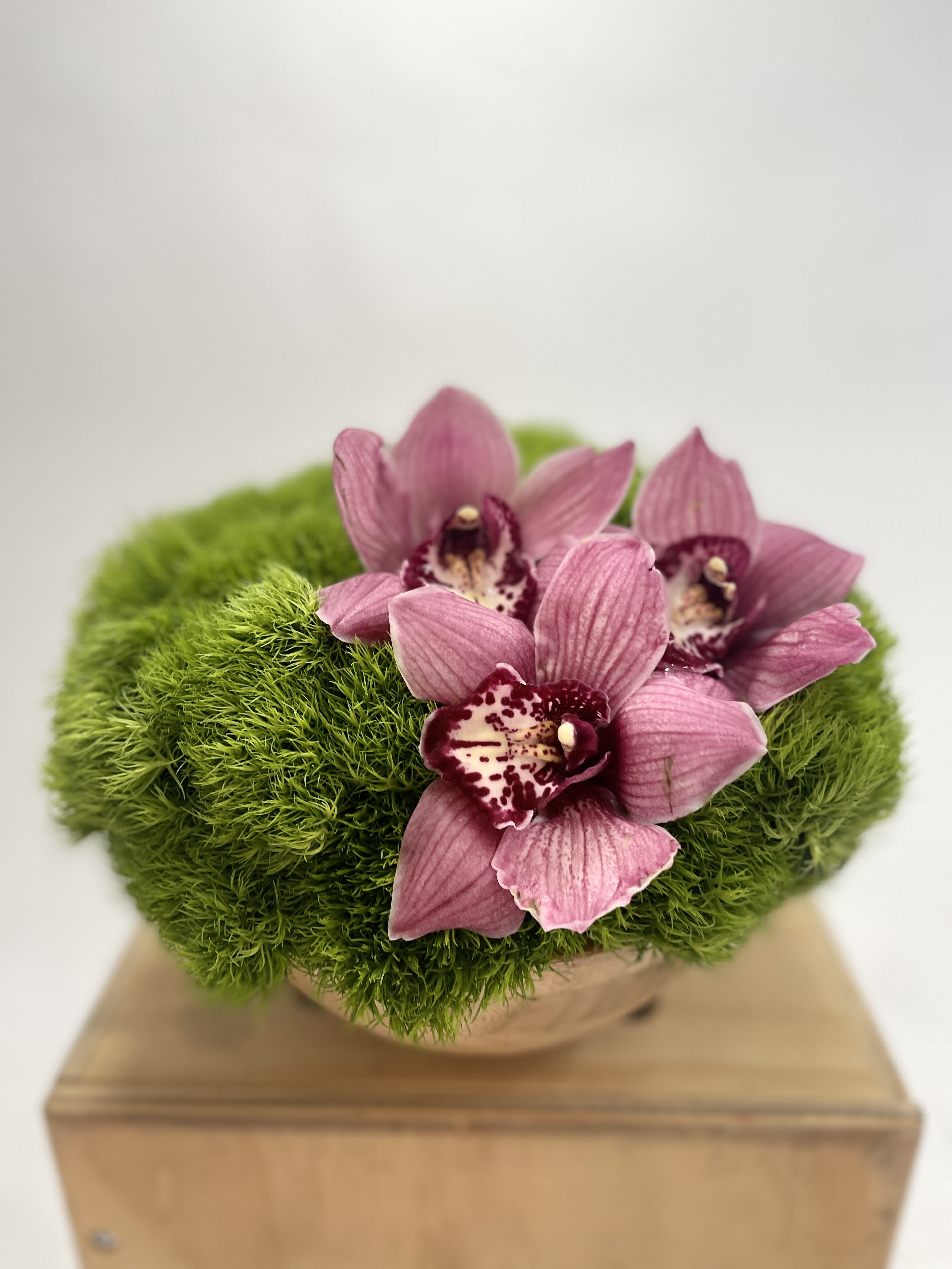 Mini moss bowl - this mini moss bowl last for a four weeks or longer. its a perfect gift for everybody.