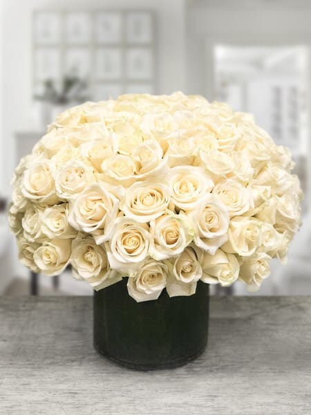 Waltz - 100 white roses