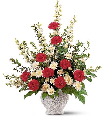 TF185-1 Vivid Sentiments - One arrangement with red carnations, white chrysanthemums and larkspur is delivered in a simple ginger shaped vase. Approximately 30&quot; W x 29&quot; H 