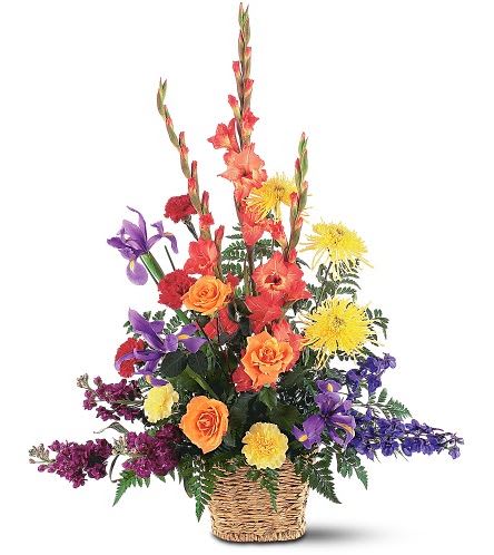 TF187-6 Rainbow Basket TF187-6 Rainbow Basket - One arrangement with red and yellow carnations, orange gladioli and roses, blue iris and purple stock, is delivered in a square basket. Approximately 28" W x 38" H