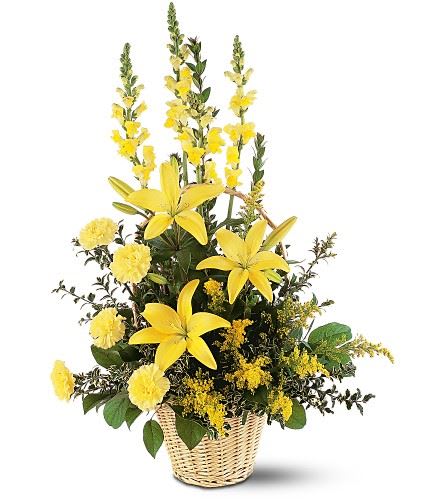 TF187-3 Ray Of Hope Arrangement TF187-3 Ray Of Hope Arrangement - One arrangement with yellow carnations, snapdragons, lilies, solidaster and decorative foliage is delivered in a round wicker basket. Approximately 20" W x 33" H