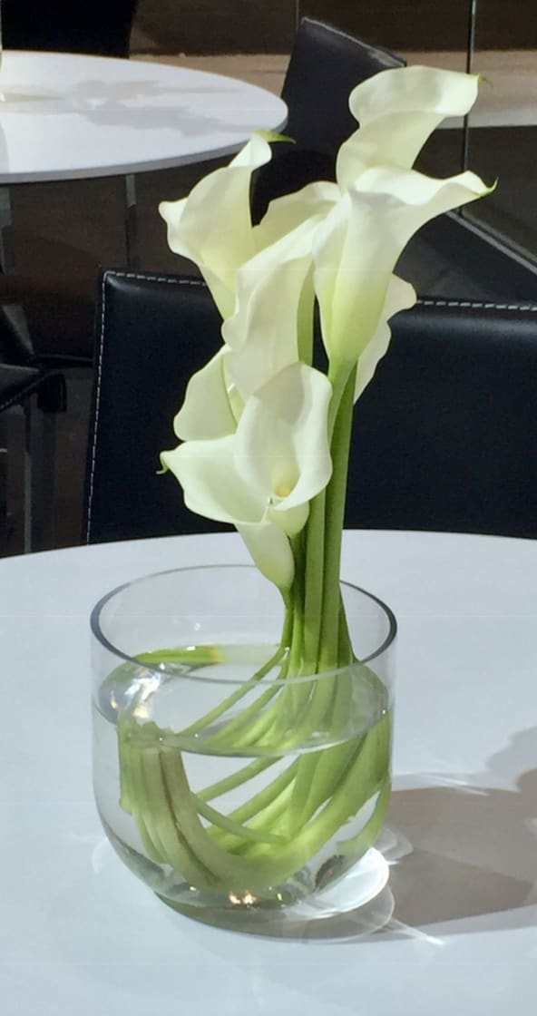 Calla Lily Unique - Custom arrangement of white calla lilies 