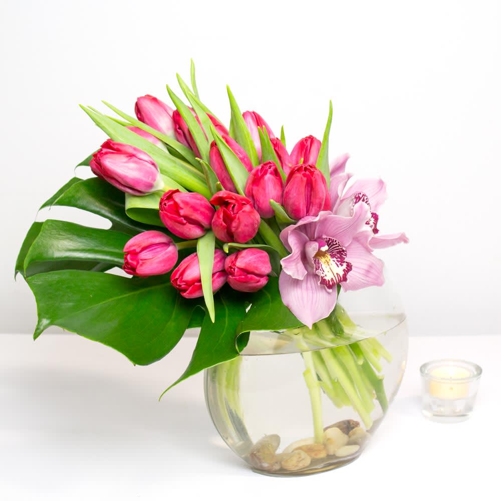 Tulip Temptation - This unique arrangement is simplistic elegance with a contemporary flair. Asymmetrically placed, the fanned cluster of 20 Tulips lay gracefully atop large tropical greens, and the finishing touch of pink Orchids at it's base. Leave a lasting impression with this amazing floral gift. Also available in many other colors.   Deluxe: 30 Tulips  Premium: 40 Tulips 